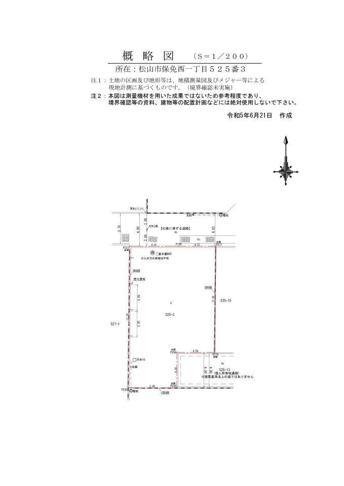 概略図